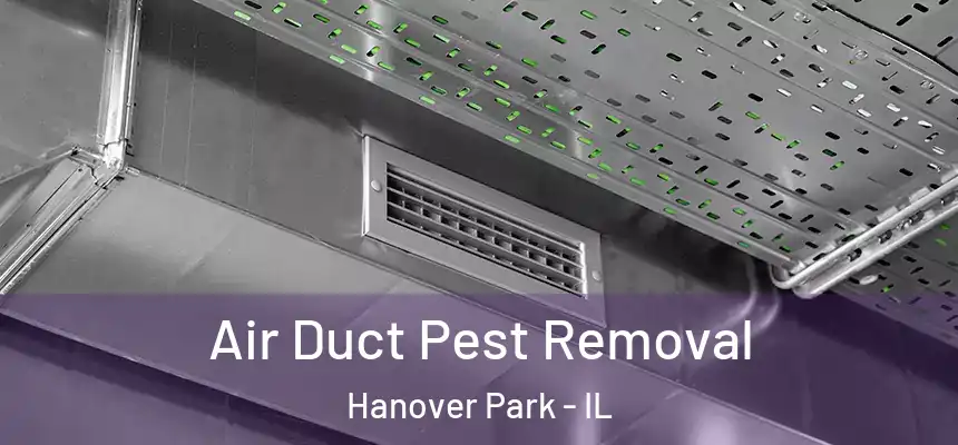  Air Duct Pest Removal Hanover Park - IL