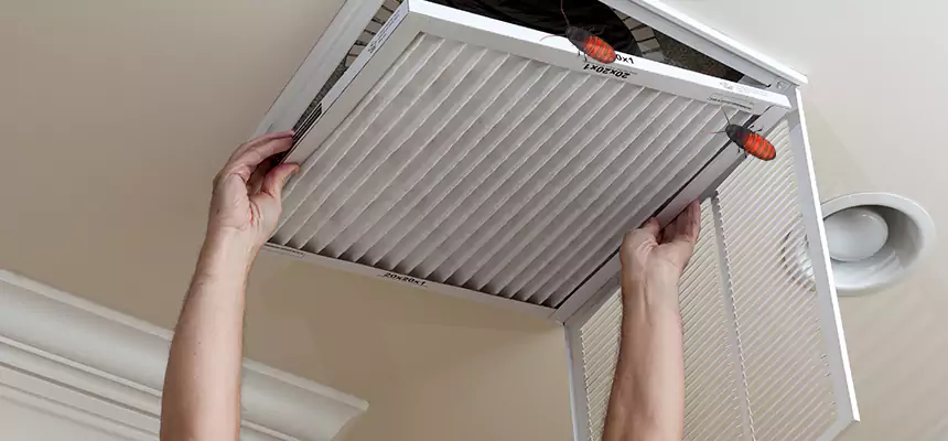 Preventive Cockroach-Proofing for Ducts in Hanover Park