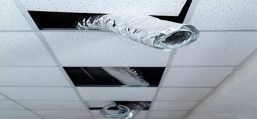 Our Air Duct Pet Hair Removal Services in Hanover Park, IL