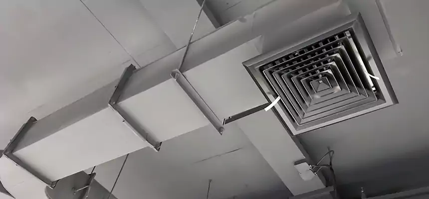 Restorative Allergy Relief Vent Cleaning – Coil, Blower & Housing Detail in Hanover Park