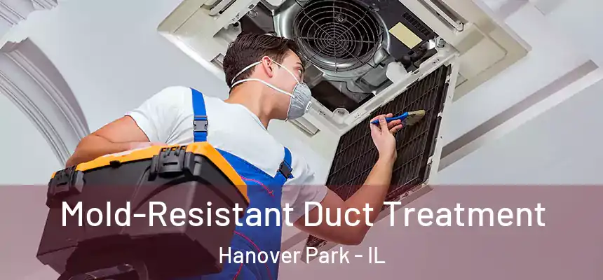  Mold-Resistant Duct Treatment Hanover Park - IL