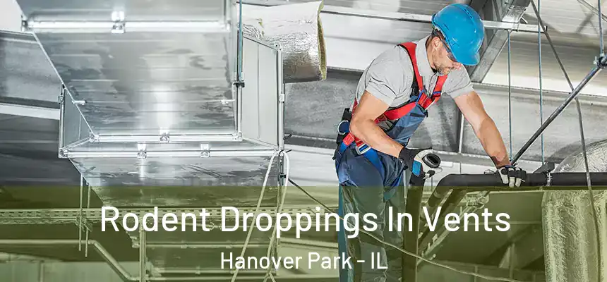  Rodent Droppings In Vents Hanover Park - IL