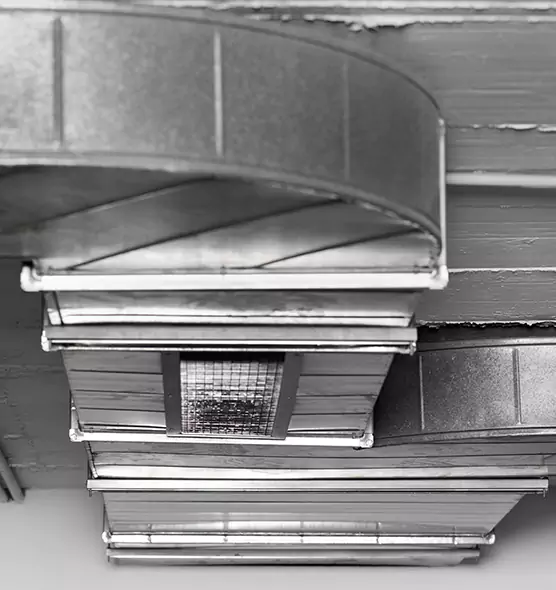 Professional Air Duct Pet Hair Removal in Hanover Park, IL