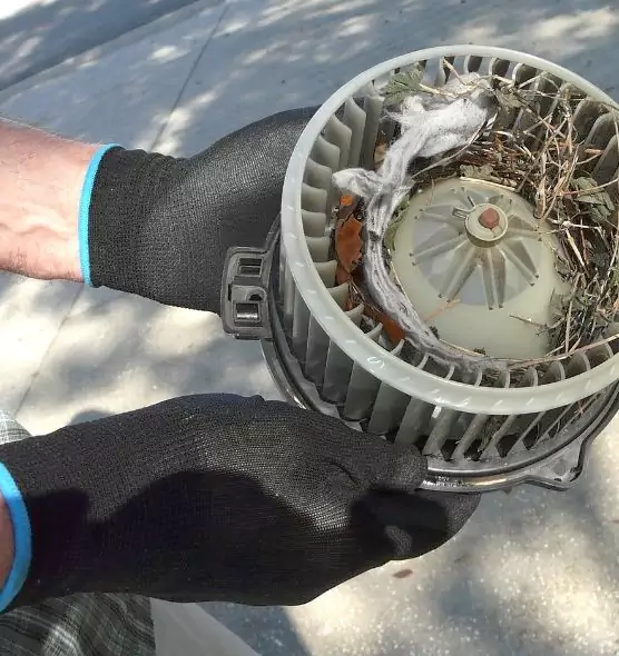 About Air Duct Rat Removal in Hanover Park, IL