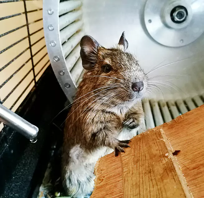 Why Homeowners & Businesses Trust Us Hanover Park, IL