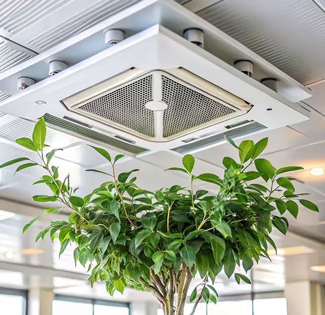 Why Homeowners & Businesses Trust Us in Hanover Park, IL