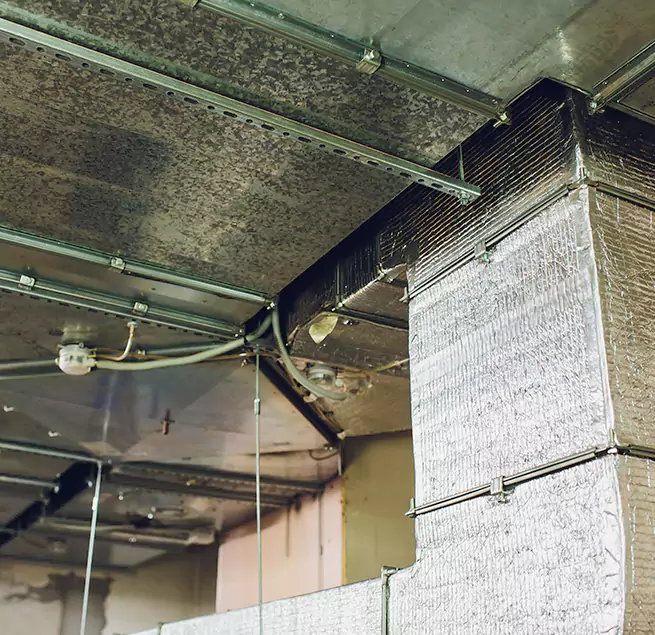 Why Homeowners & Businesses Trust Us in Hanover Park, IL?